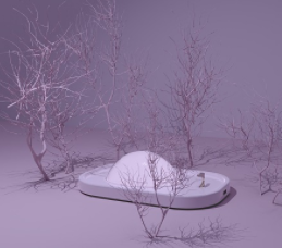 雄安“雄才卡”11月1日開始申領 可享受15類服務